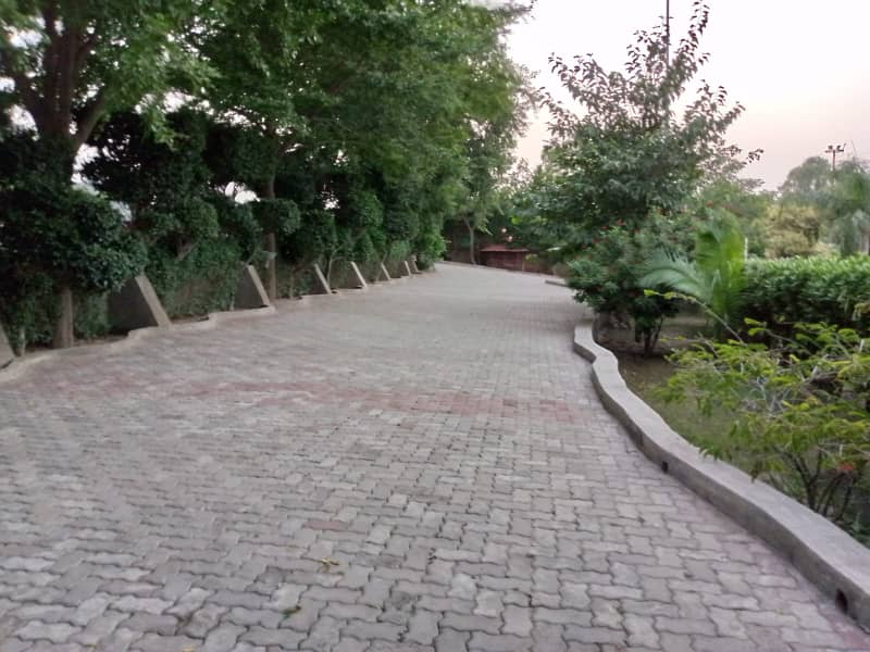 3 KANAL FACTORY FOR RENT IN LDA AVENUE 1 19