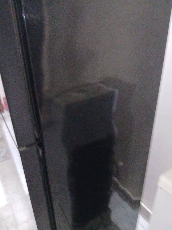 PEL PURPLE BLAZE GLASS DOOR 2