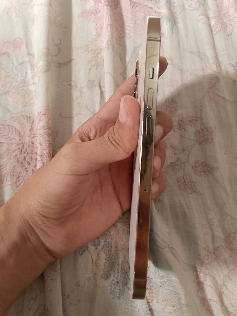 Apple iPhone 12 Pro Max 1