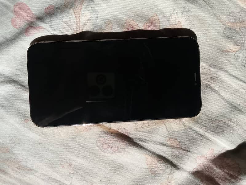 Apple iPhone 12 Pro Max 4