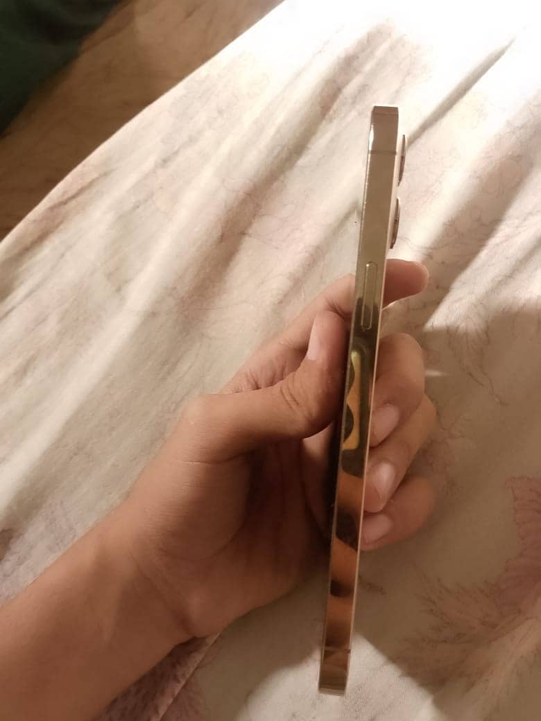 Apple iPhone 12 Pro Max 6