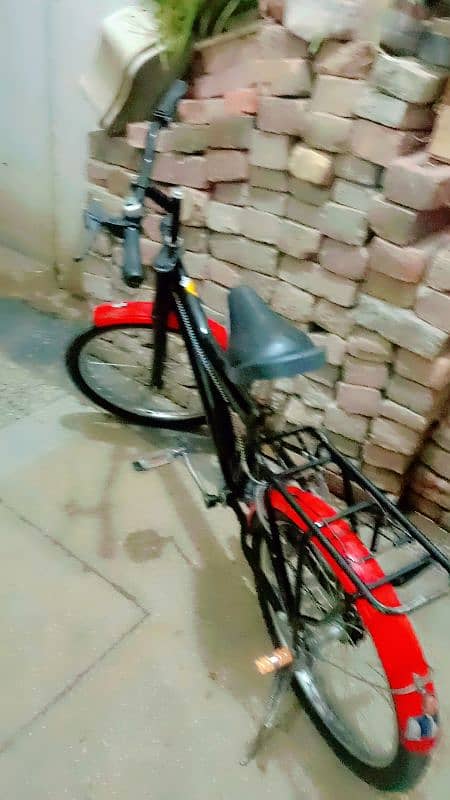 race cycle 0