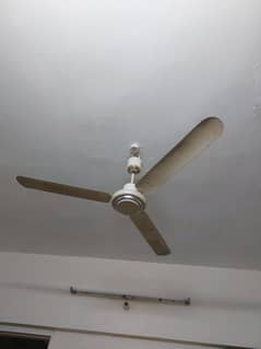 Royal Fan In Good Condition