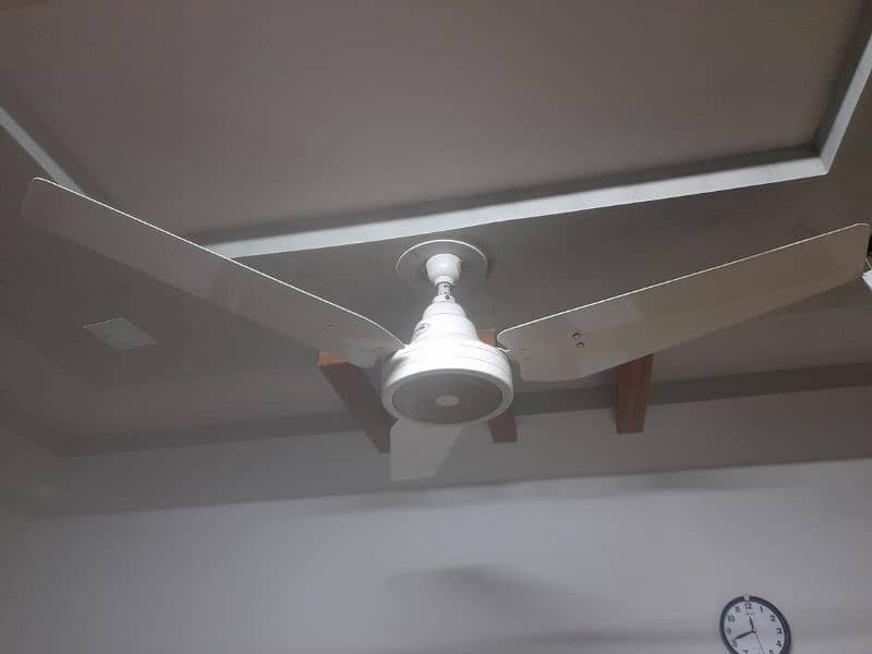 Royal fan 56 inch  (7 fan) 18 years warranty 0