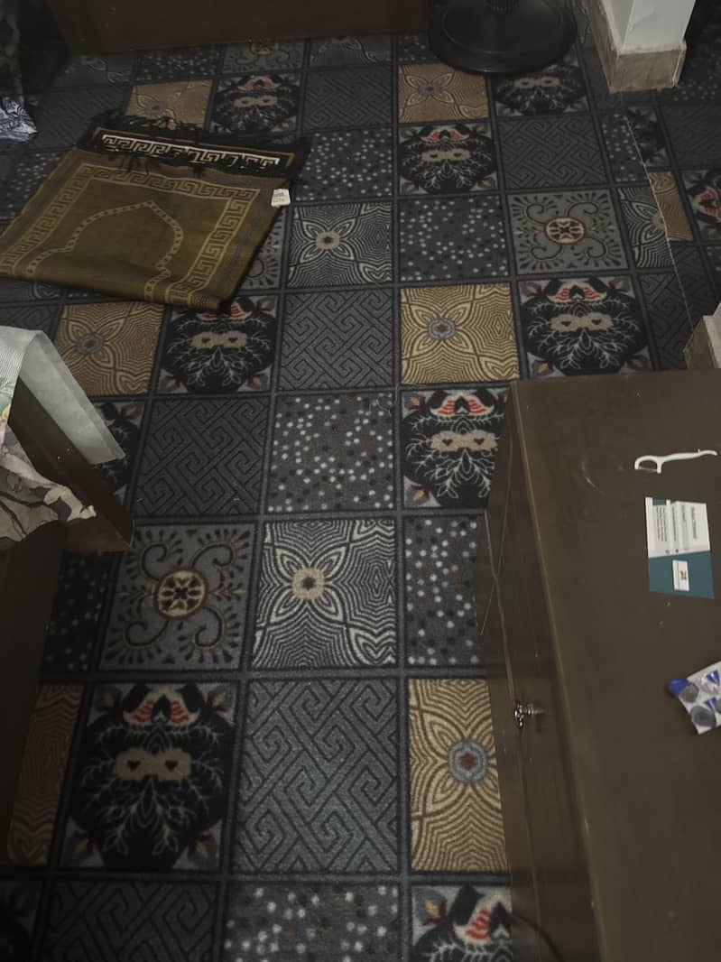Carpet for 2 bed Rooms and Tv lunch 1 1
