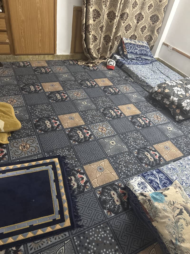 Carpet for 2 bed Rooms and Tv lunch 1 3