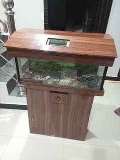 aquarium