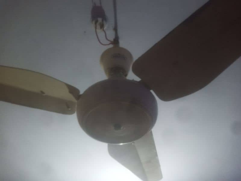 Mefco fan 1