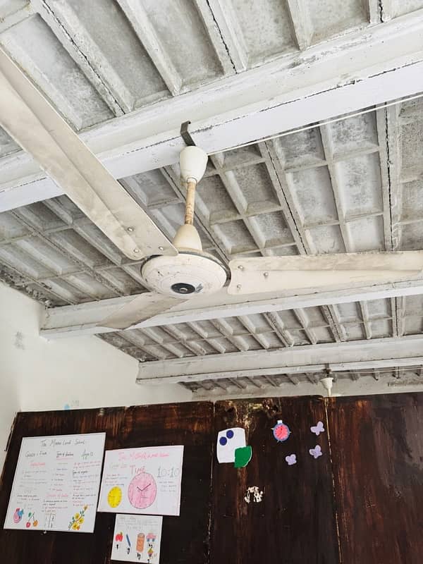 5fans 0