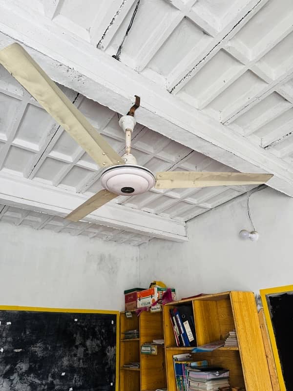 5fans 4