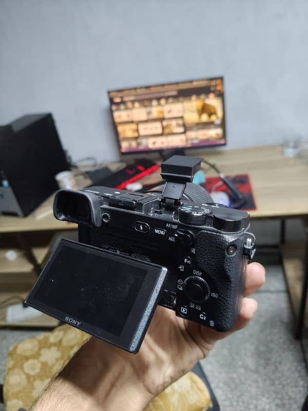 Sony a6300 with 30mm sigma f1.4 8