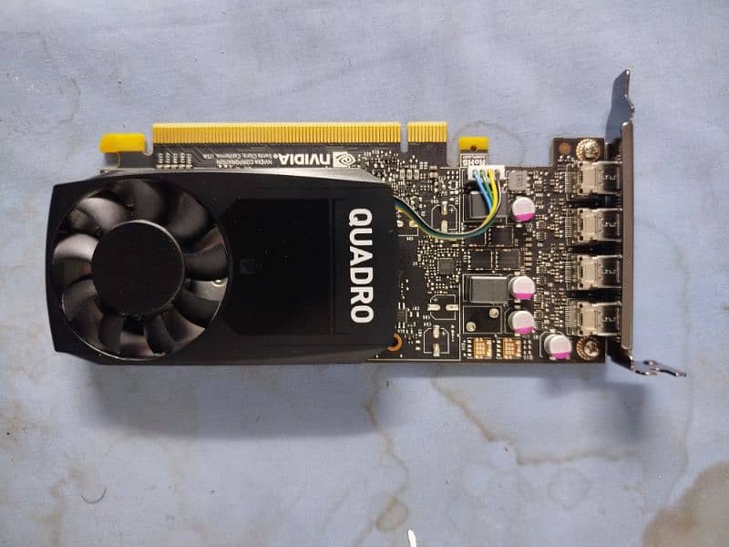 NVIDIA QUADRO P1000 DDR5 5
