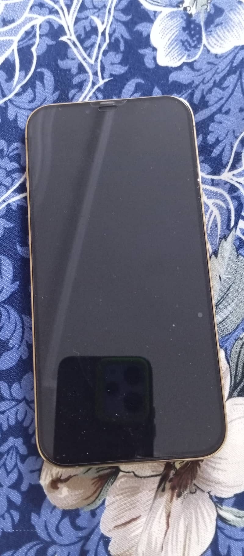 iPhone 13 promax non pta 1