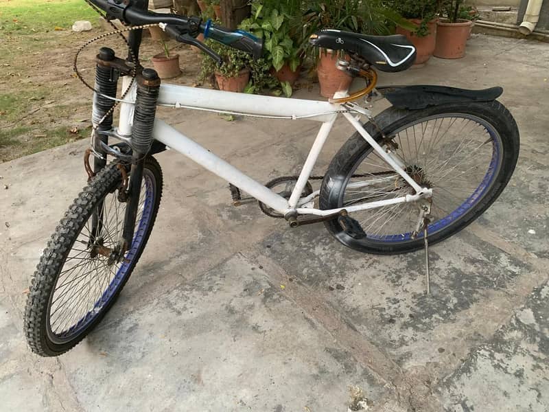 Phoenix Bike 1
