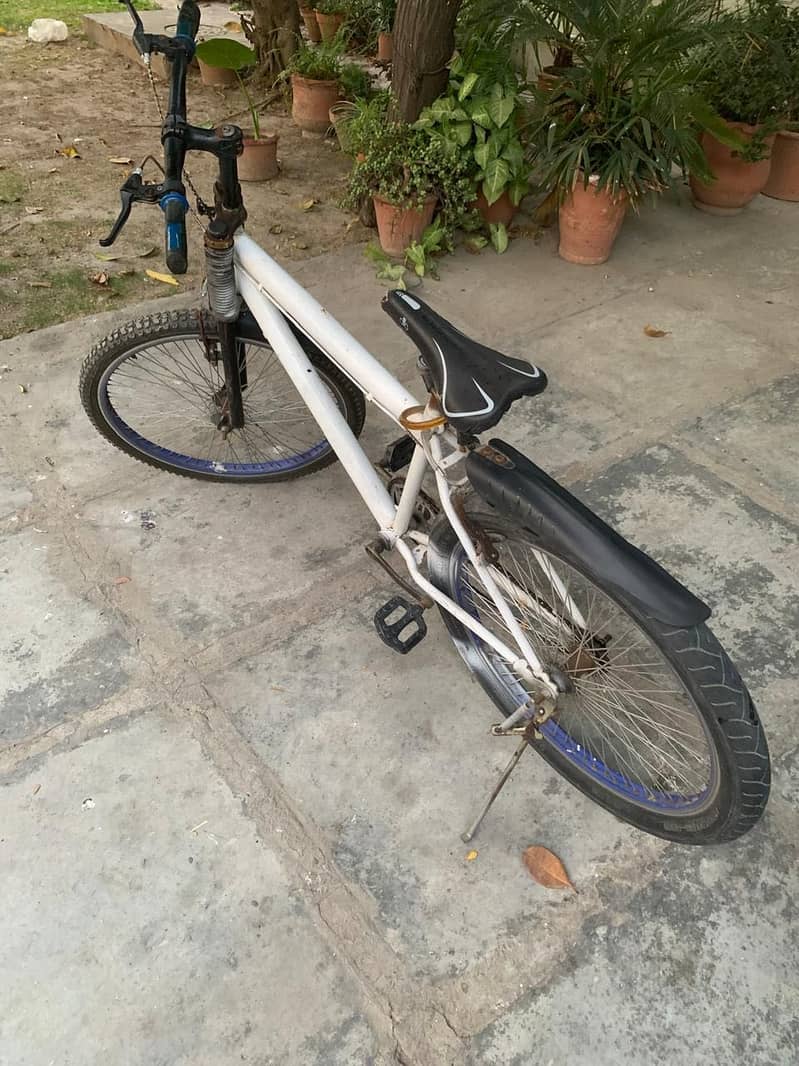 Phoenix Bike 5