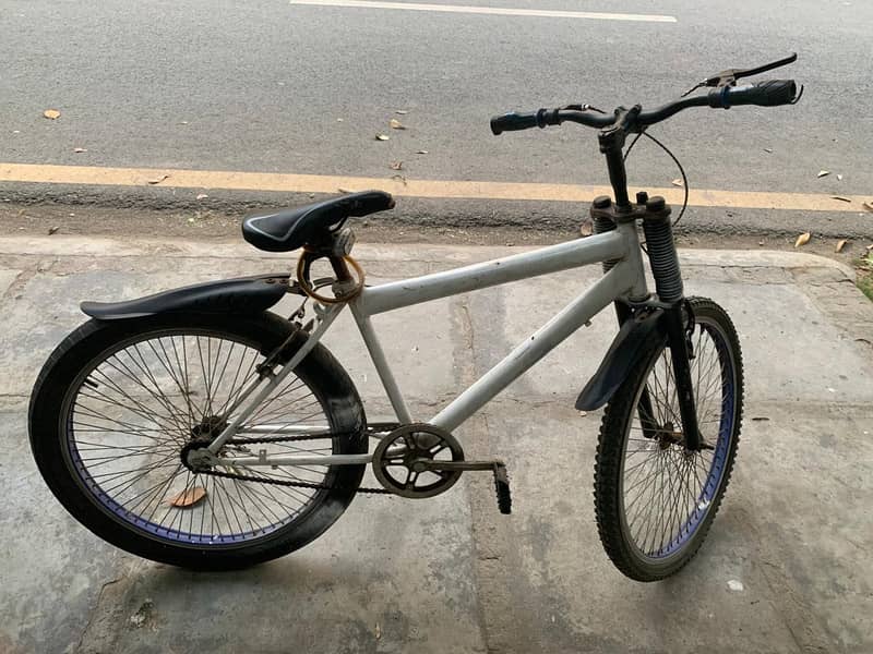 Phoenix Bike 8