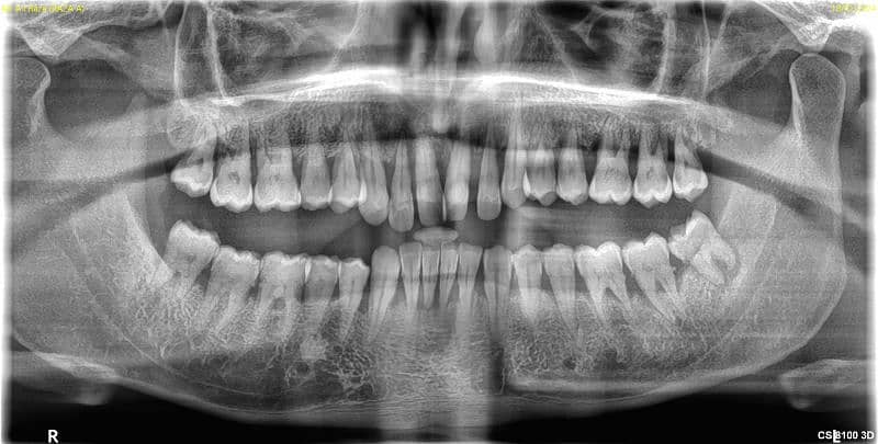 female dentist 0