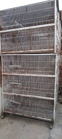 cage for sale