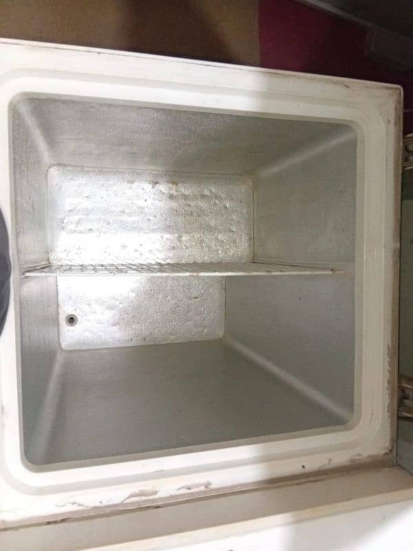waves 2 door deep freezer for sale 4