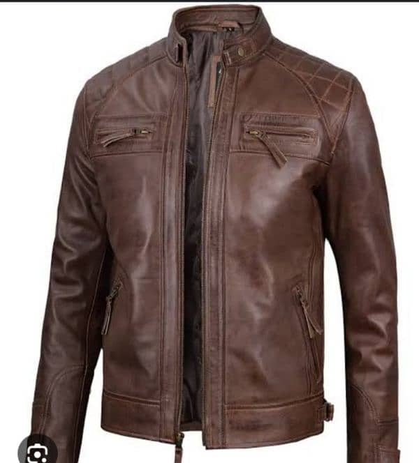 jacket 6