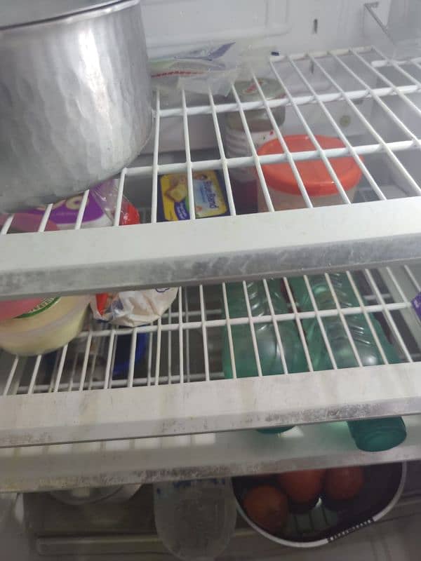 pel fridge 5