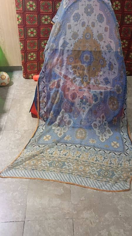 chiffon net all different branded Duppttass 3