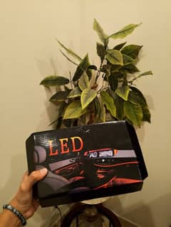 * 5 piece ambient light *