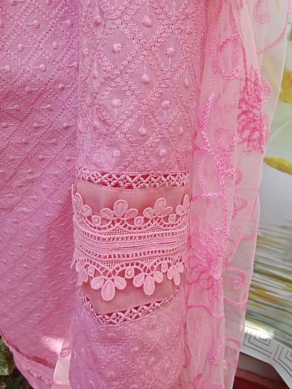 Shahz Collection 1