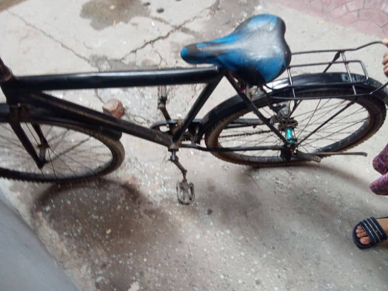bicycle 2