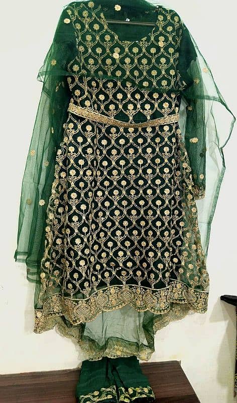 ASHA Embroidered Net Dori Work 0