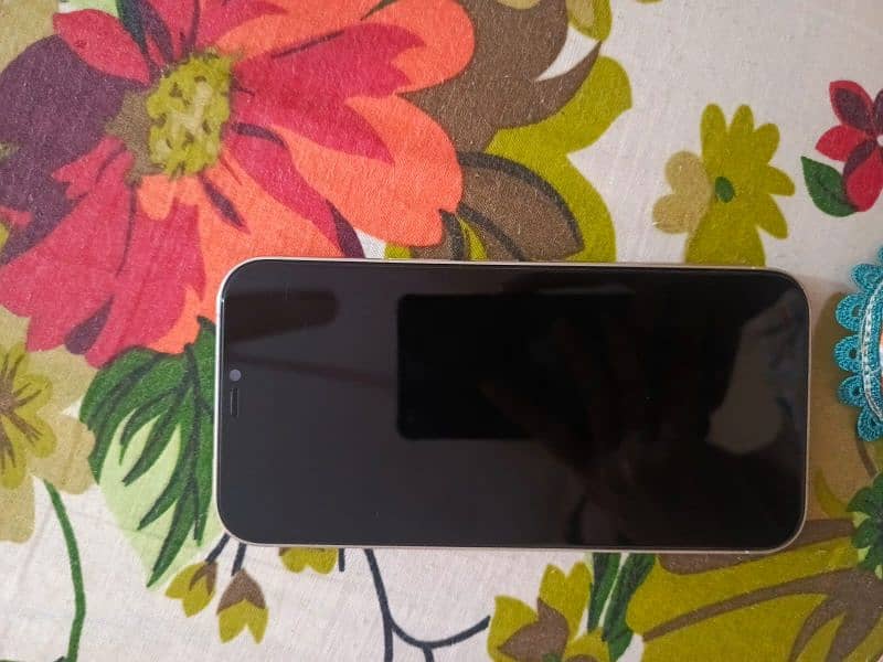 Iphon 12 pro max JV white colour 10/9 Condition battery health 89% 1