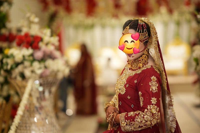 KASHI BRAND BRIDAL LAHNGA  STUNNING Urgently sale 3