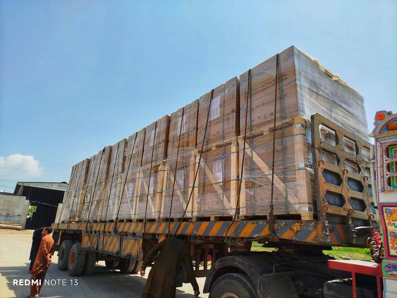 Canadian Astro JA Longi Jinko Lowest Price 0