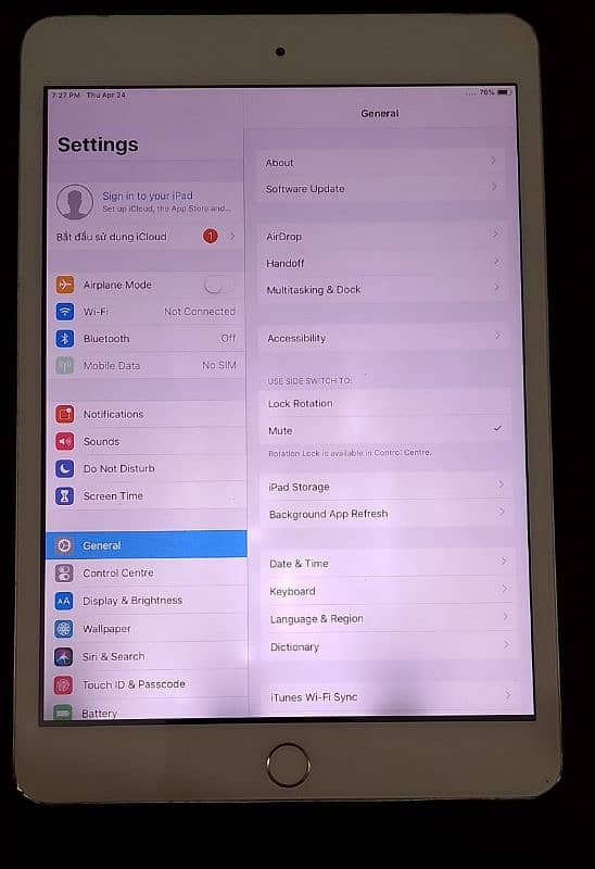Ipad Mini 3 0