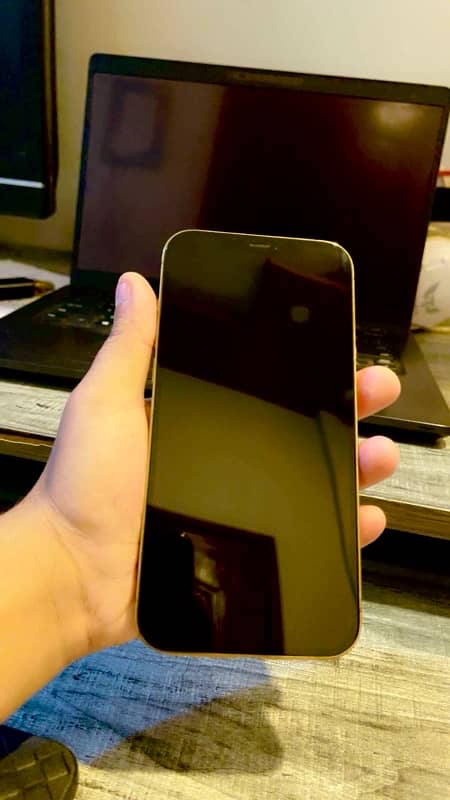 iphone 12 pro max 3