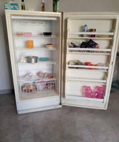 vertical deep freezer American brand