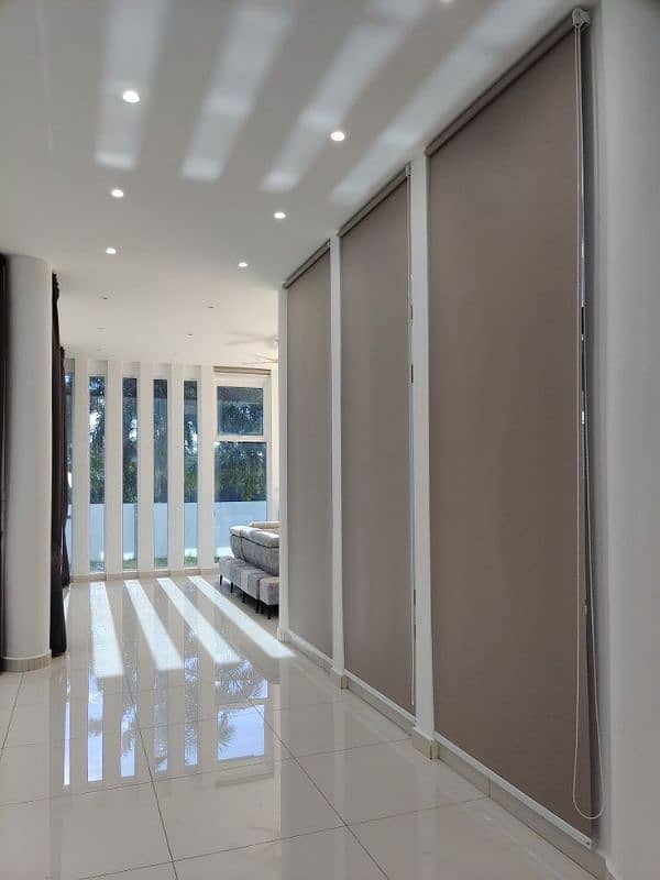 Roller Window Blinds 3