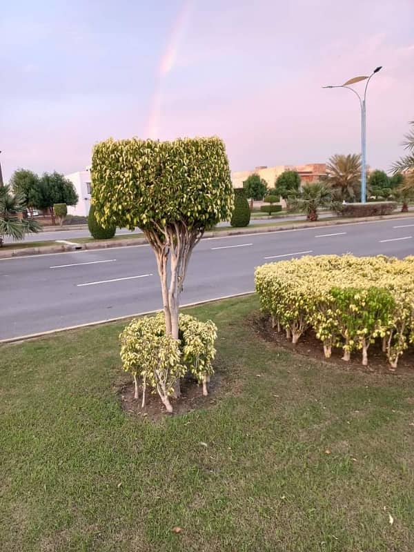 Bahria Orchard Plot No 224# Olca Facing Park Possession Utility Paid Top Location 3