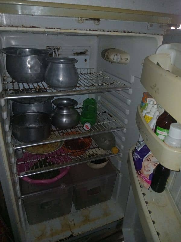fridge pel brand 3