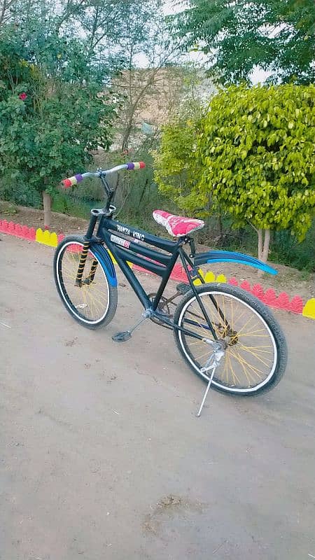 Bicycle 0
