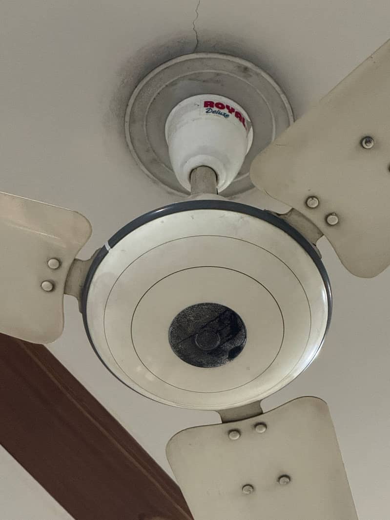 FAN / CEILING FAN / ROYAL FANS 2