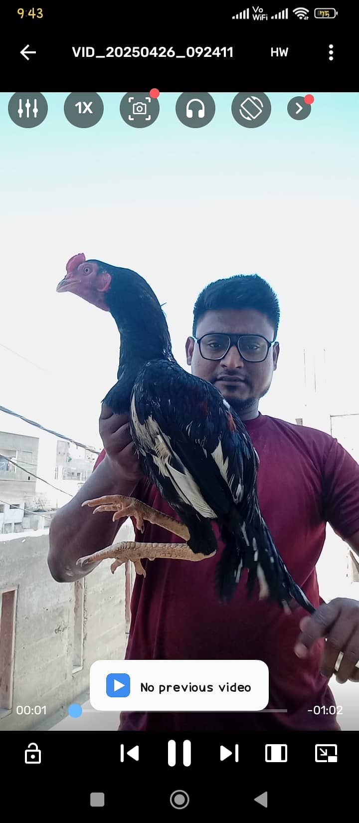 Mazboot jor ka murga ga 03257667602 4