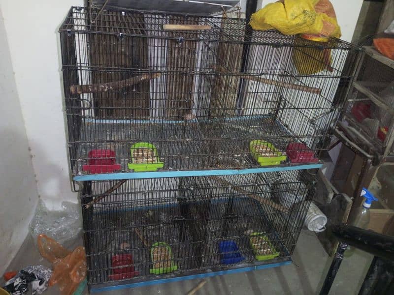 Cages For Love Bird & Other Parrots 0