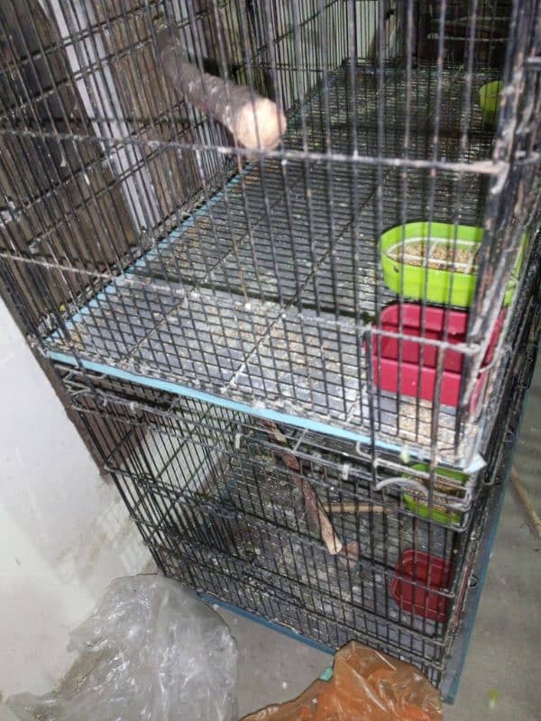 Cages For Love Bird & Other Parrots 1