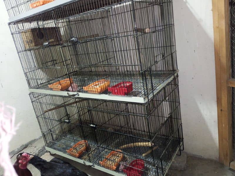 Cages For Love Bird & Other Parrots 2