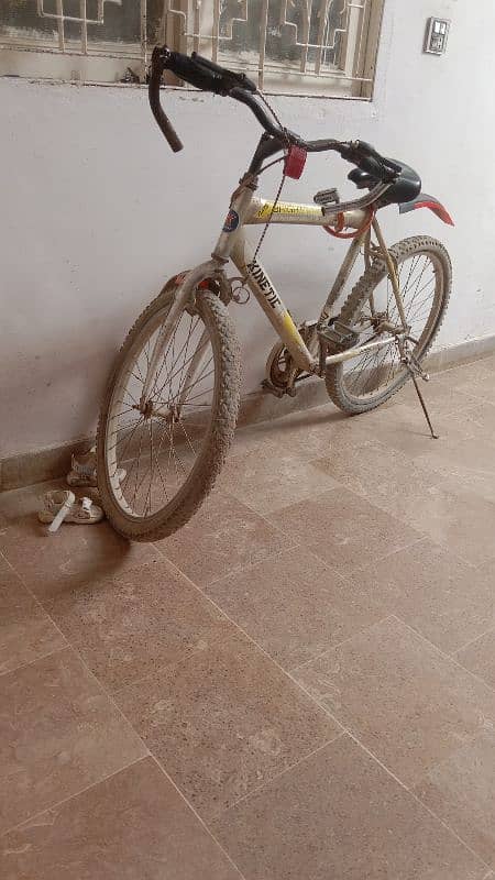 kenatic cyle 1