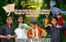 Pakistan's Most Exclusive Exotic Pet Experience! | Pets Show