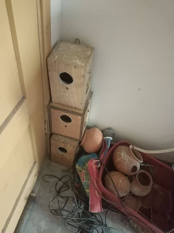Boxes Sticks Matka 1