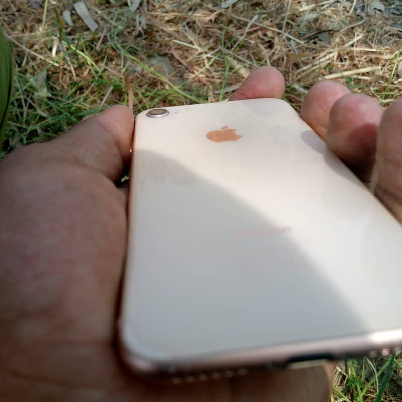 iPhone 8 64 gb non pta 03041664263 5