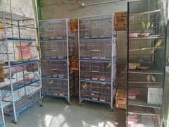 love Birds Cages 4in1